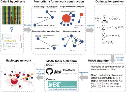 北京基因组所 国家生物信息中心 开发基于最小树形图的单体型网络构建算法及应用平台McAN